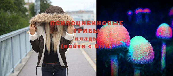 mdpv Армянск