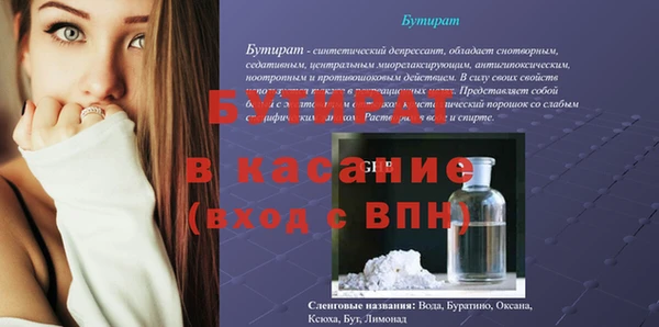 хмурый Аркадак