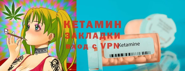 хмурый Аркадак