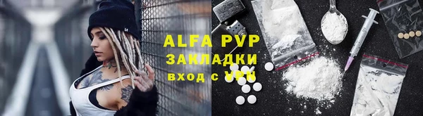 хмурый Аркадак