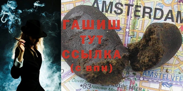 хмурый Аркадак