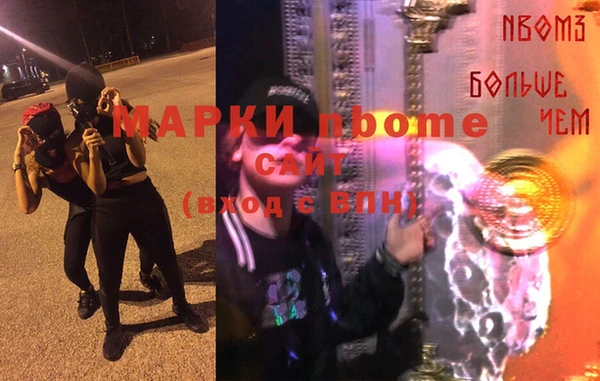 хмурый Аркадак