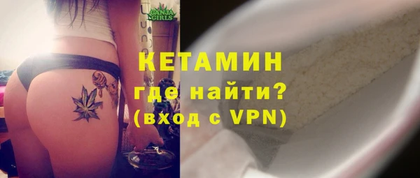 хмурый Аркадак