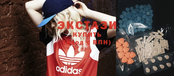 хмурый Аркадак