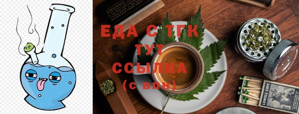 хмурый Аркадак