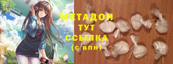 хмурый Аркадак