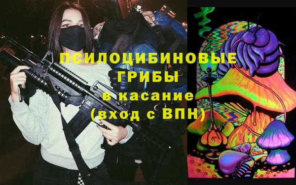 хмурый Аркадак