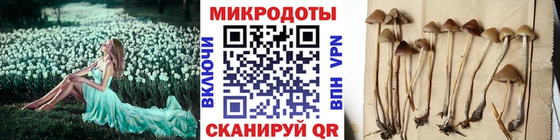 Галлюциногенные грибы прущие грибы  Маркс 